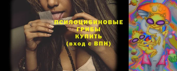 дмт Новокубанск
