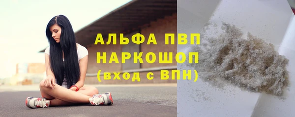 spice Арсеньев