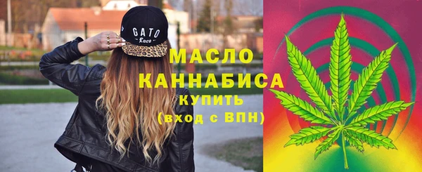 дмт Новокубанск