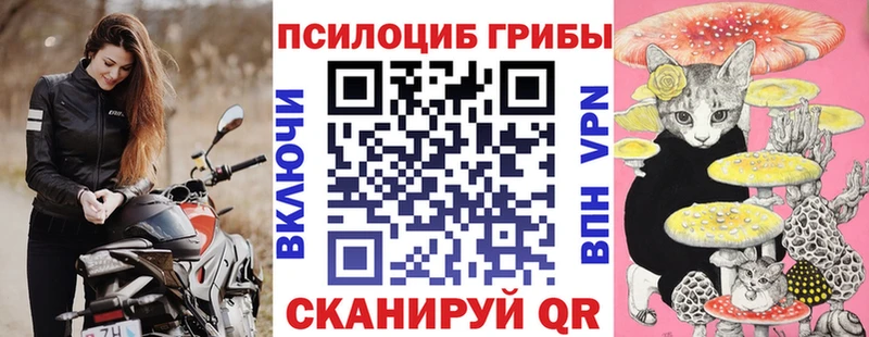 Галлюциногенные грибы Psilocybine cubensis Кяхта